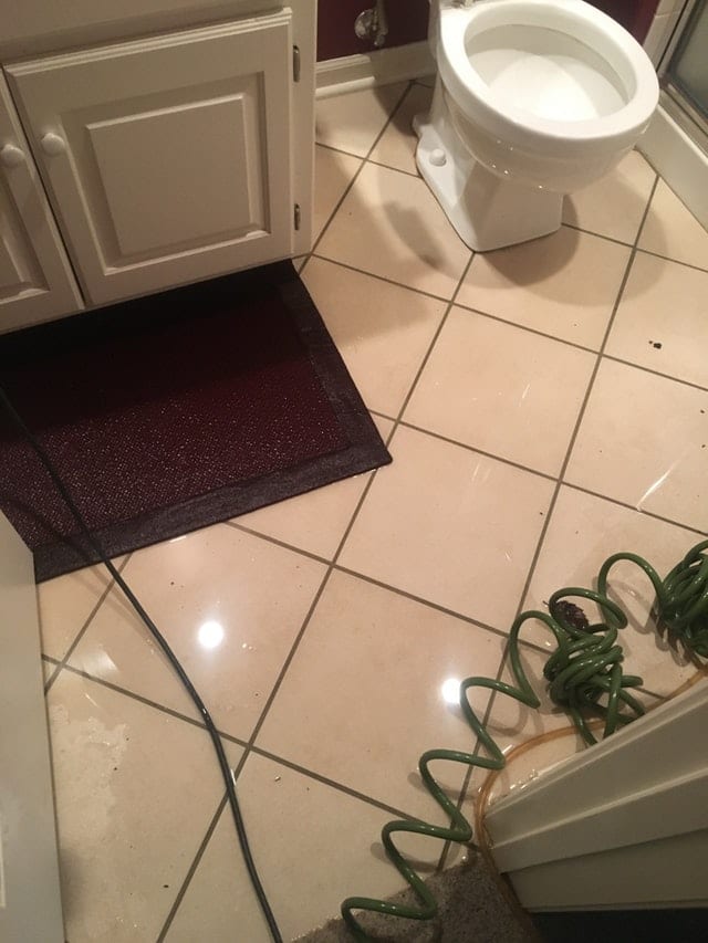 Water Damage Who's Responsible, Tenants or Landlords? Brothers